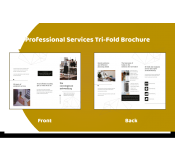 Custom Professional Services Brochure 